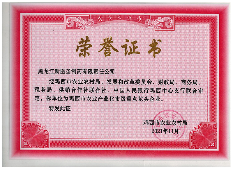贺九州体育|中国有限公司官网制药获市级重点龙头企业称号